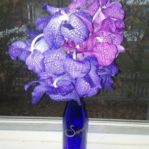 Meet your Posher, Bobbijo